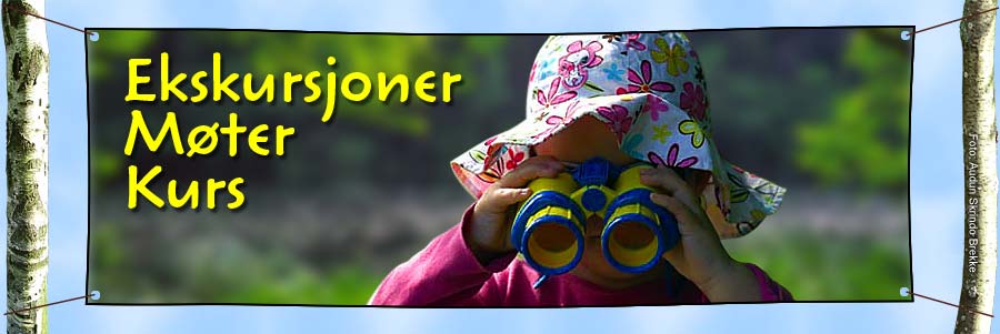 Ekskursjoner og m�ter