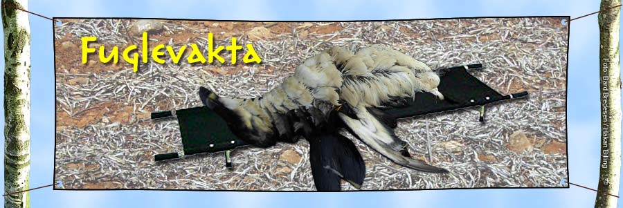Fuglevakta