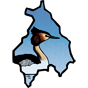NOF OA logo